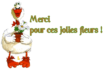 Merci