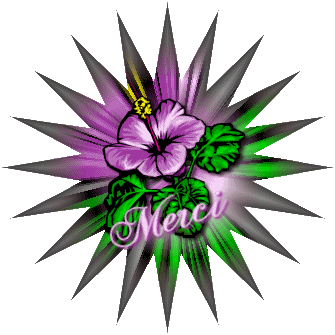 Merci