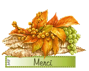 Merci