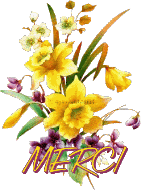 Merci