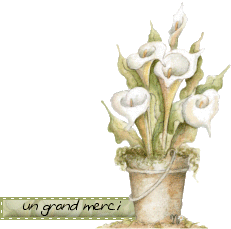 Merci