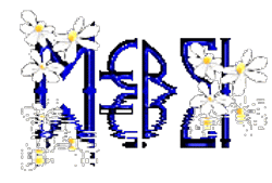Merci