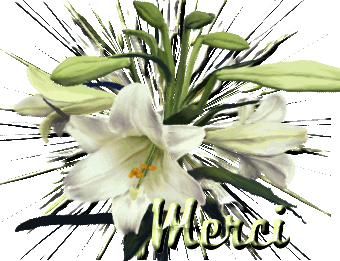 Merci