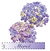 Merci
