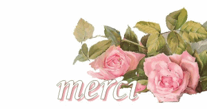 Merci