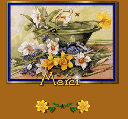 Merci