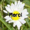 Merci