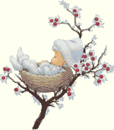 Naissance