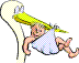 Naissance