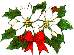 Noel