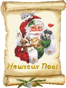Noel