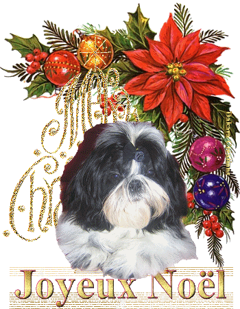 Noel