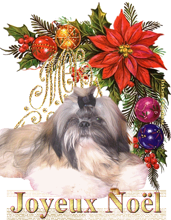 Noel