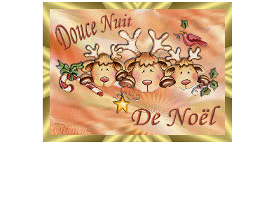 Noel
