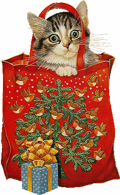 Noel