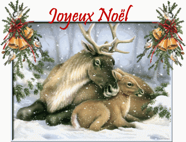 Noel
