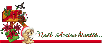 Noel