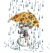 Saison