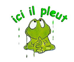 Saison