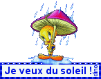 Saison