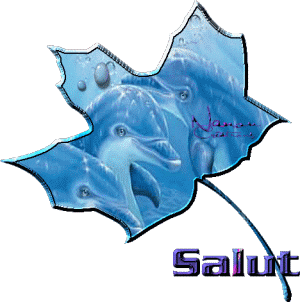 Salut