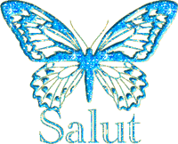 Salut