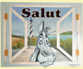 Salut