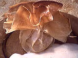 Aumonieres pommes01