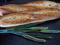 Baguette pain01