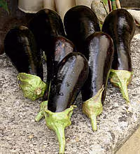 Cuisine aubergine01