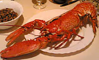 Cuisine homard02