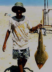 Cuisine raie03