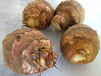 Cuisine topinambour01