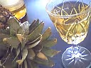 Db db vin blanc02