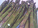 F f asperges9