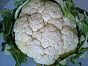 F f choufleur