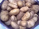 F f pomme terre06