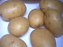 F f pomme terre17