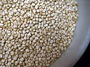 F f quinoa02