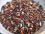 F f riz noir02