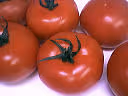 F f tomate grappe