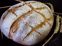 Pain campagne pate fermentee02