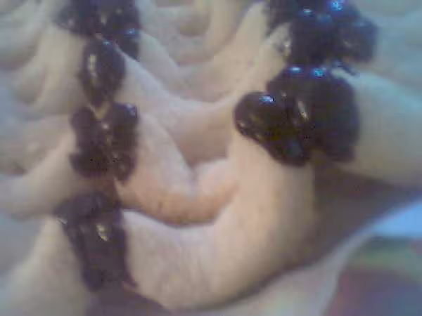 Gateaux petit beurre