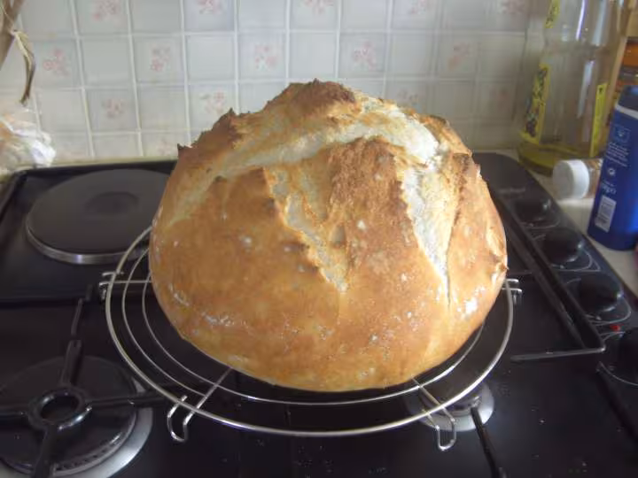 Pain au levain 1er essai