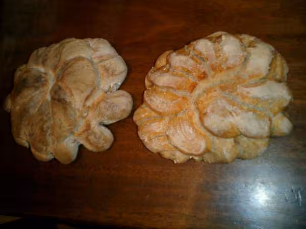 Paiins artichauts