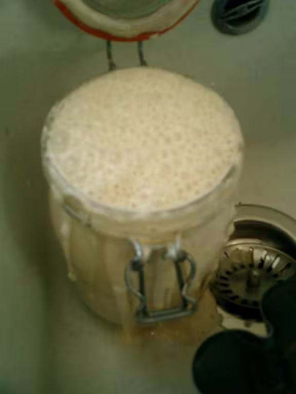 Zebulon mon levain liquide