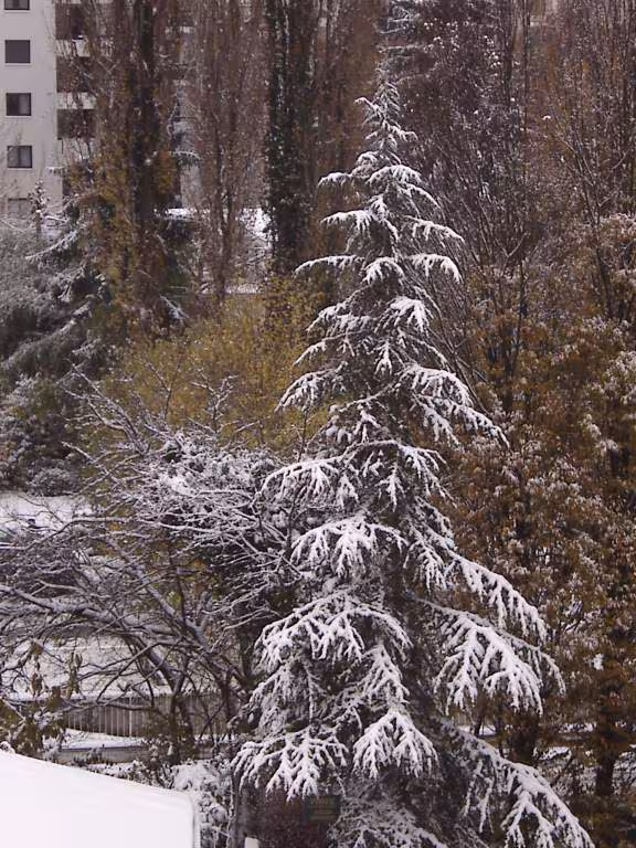 Photo 1ere neige