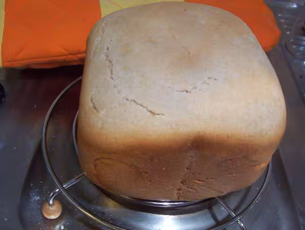 Pain campagne programme rapide