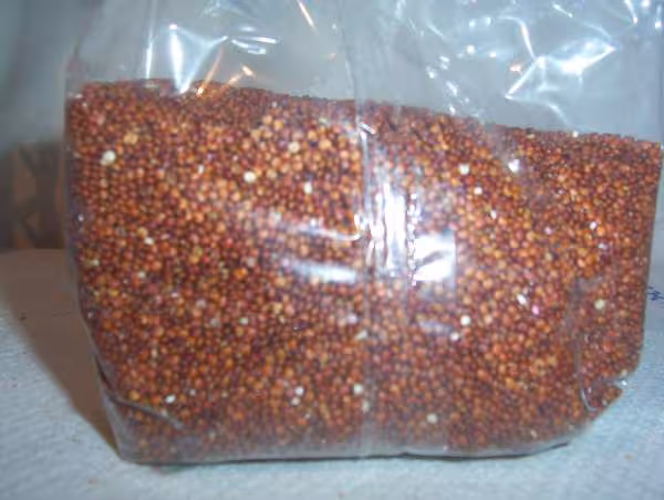 Quinoa rouge