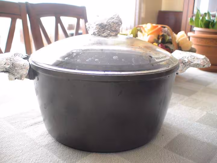 Cocotte